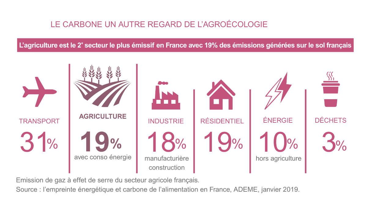 réduction des émissions carbone