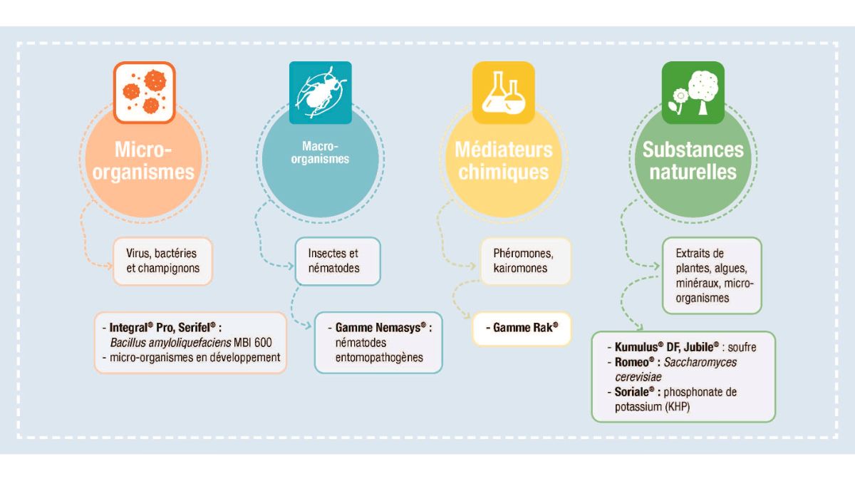 les catégories de produits de biocontrôle