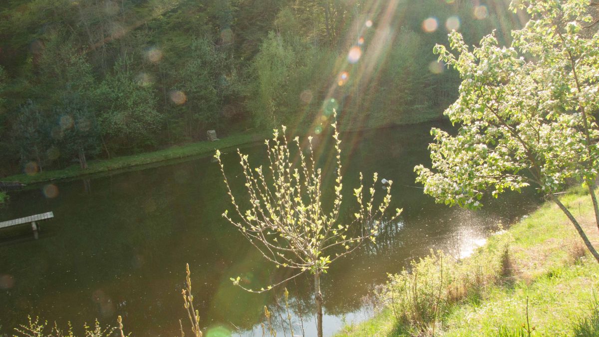 biodiversité aménagement mares