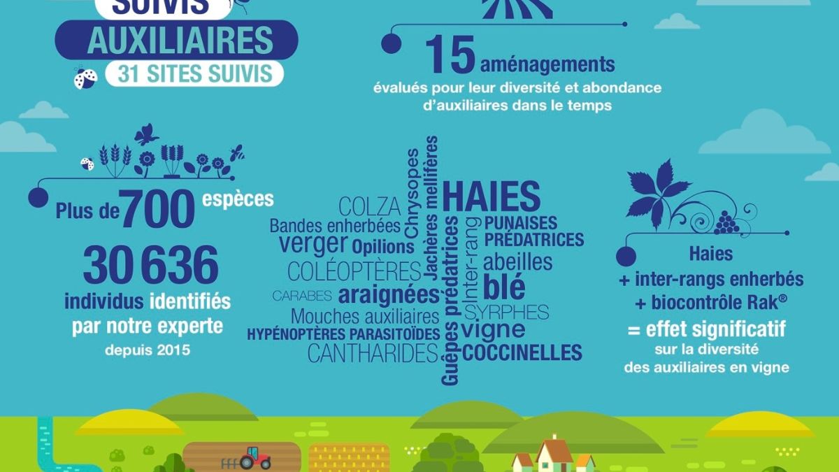 Suivis auxiliaires 
