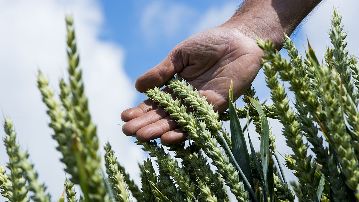 agroécologie basf