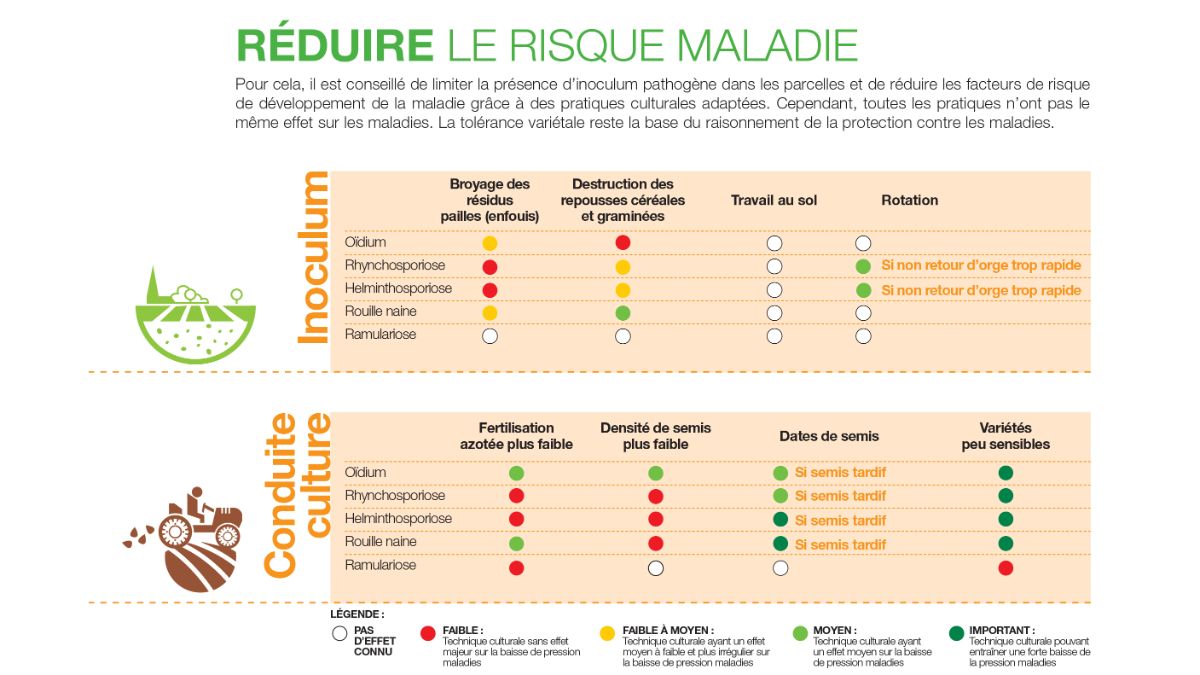 protection fongicide de l'orge : réduire le risque maladie