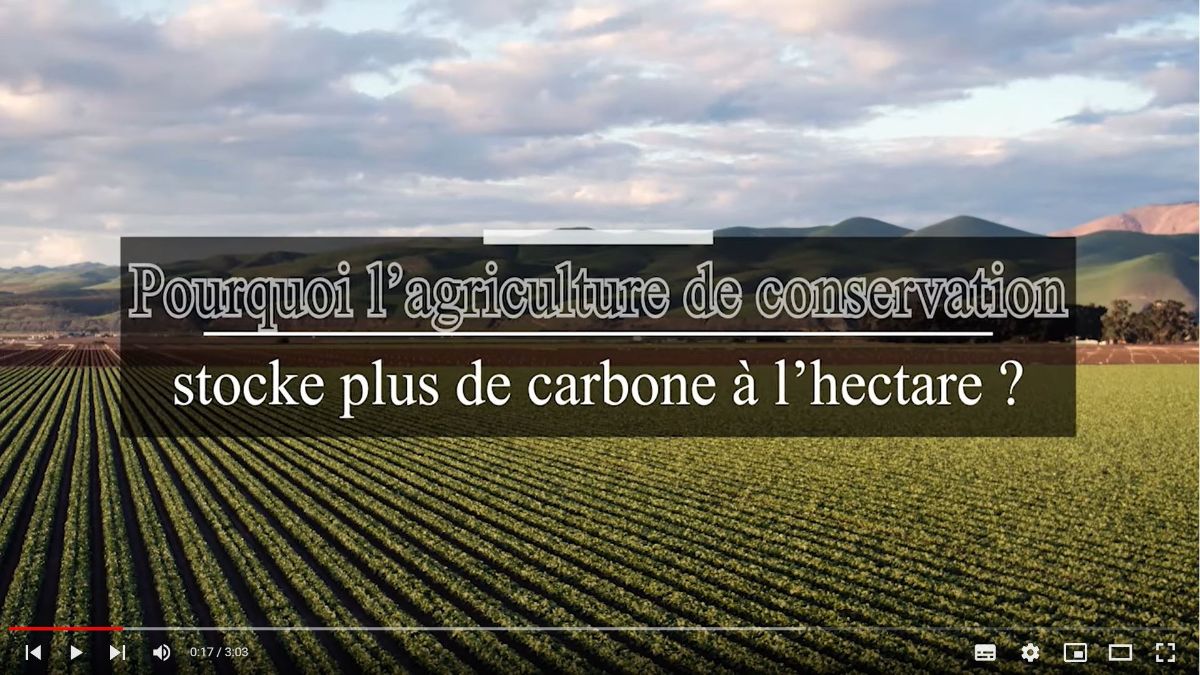 agriculture de conservation et carbone