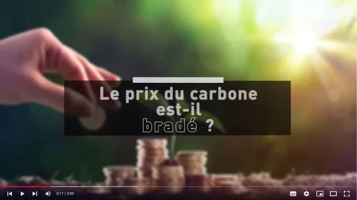 prix du carbone bradé