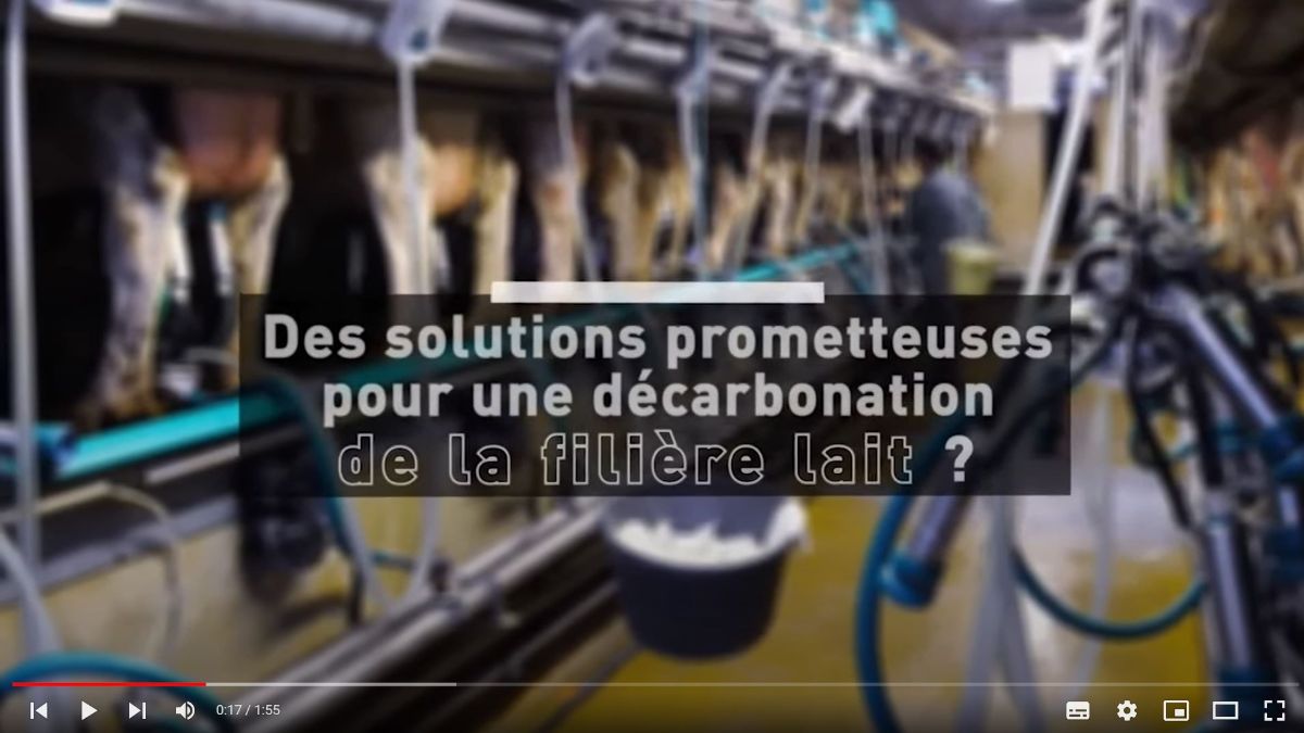 des solutions prometteuses pour décarbonation de la filière lait