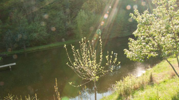 biodiversité aménagement mares