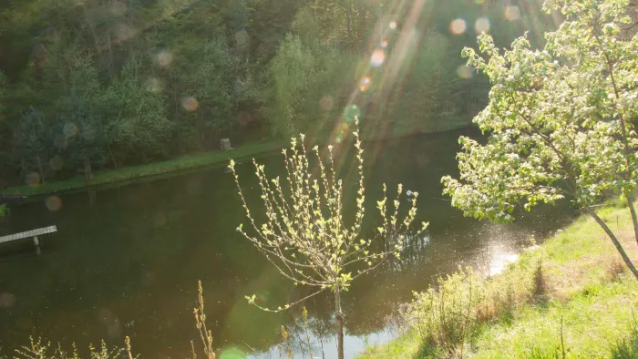 biodiversité aménagement mares