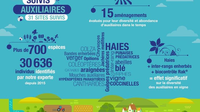 Suivis auxiliaires 
