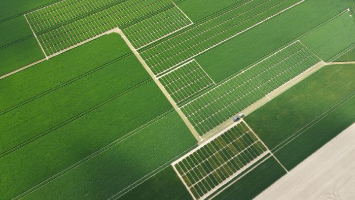 blé essais basf revystar xl