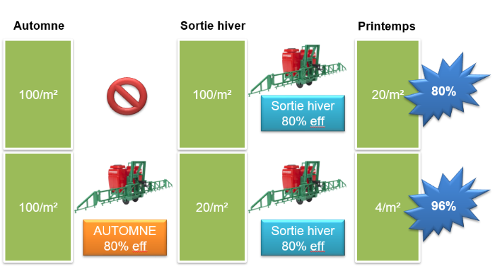 Efficacité théorique d'un programme de désherbage à l'automne