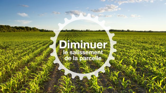 diminuer le salissement de la parcelle