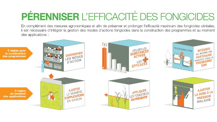 protection fongicide de l'orge : pérenniser l'efficacité des fongicides