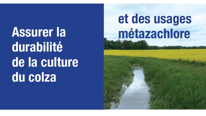 Assurer la durabilité de la culture colza et des usages metazachlore