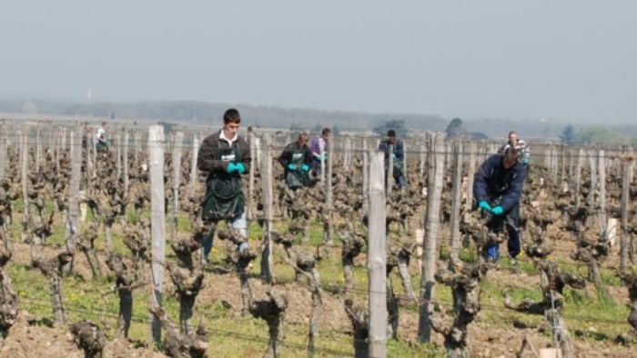 Ecole des raks - Bien préparer les chantiers de pose